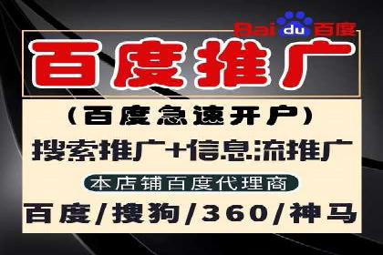 百度推广中的创意策略：成功案例解析与启示